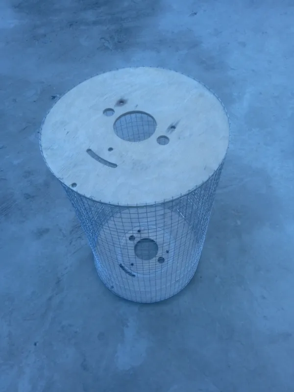 Jujalar uchun katak 3