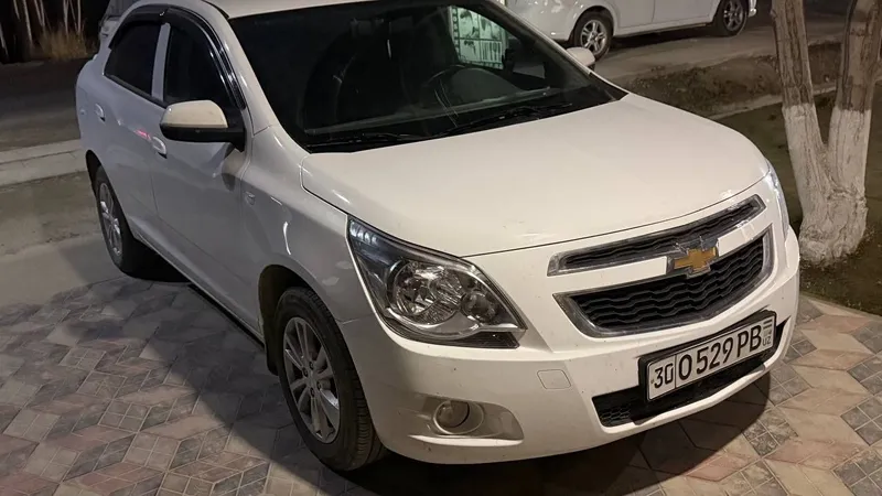 Oq kobalt, holati zo'r, bir kishi mingan — фото 2