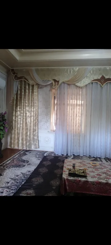Pardalar sotiladi xolati yaxshi 4