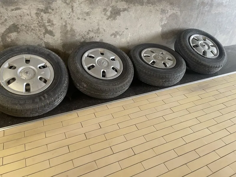 Damas balon diametor 12