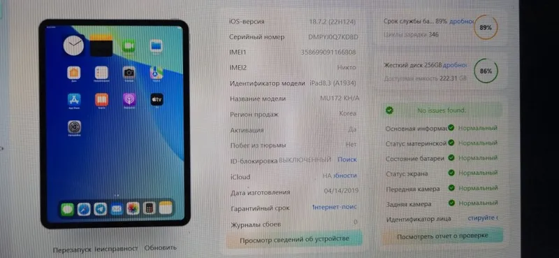 Ipad pro 11 wi-fi + cellular 256GB