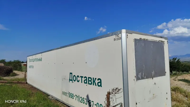 Tayor refrjatl kuzuf sotladi