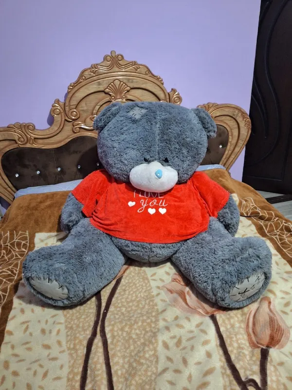 Yumshoq uyinchoq Teddy ayiq