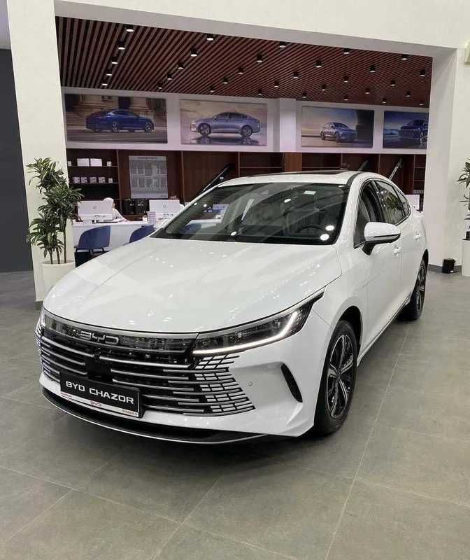 BYD Chazor Gibrid 1200km — фото 3