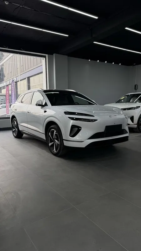 Byd selion 06 605 km electir