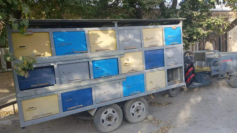 Asalari uyalari va pavilion SOTILADI!!!