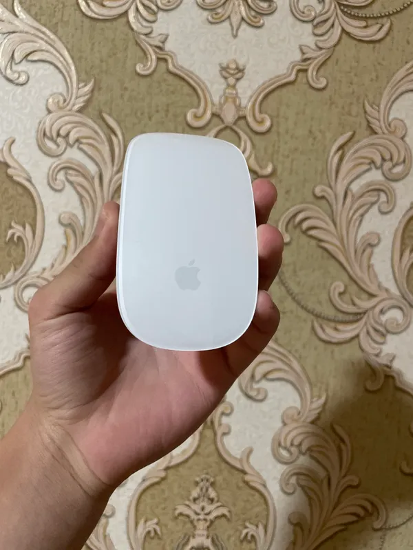 Magic Mouse