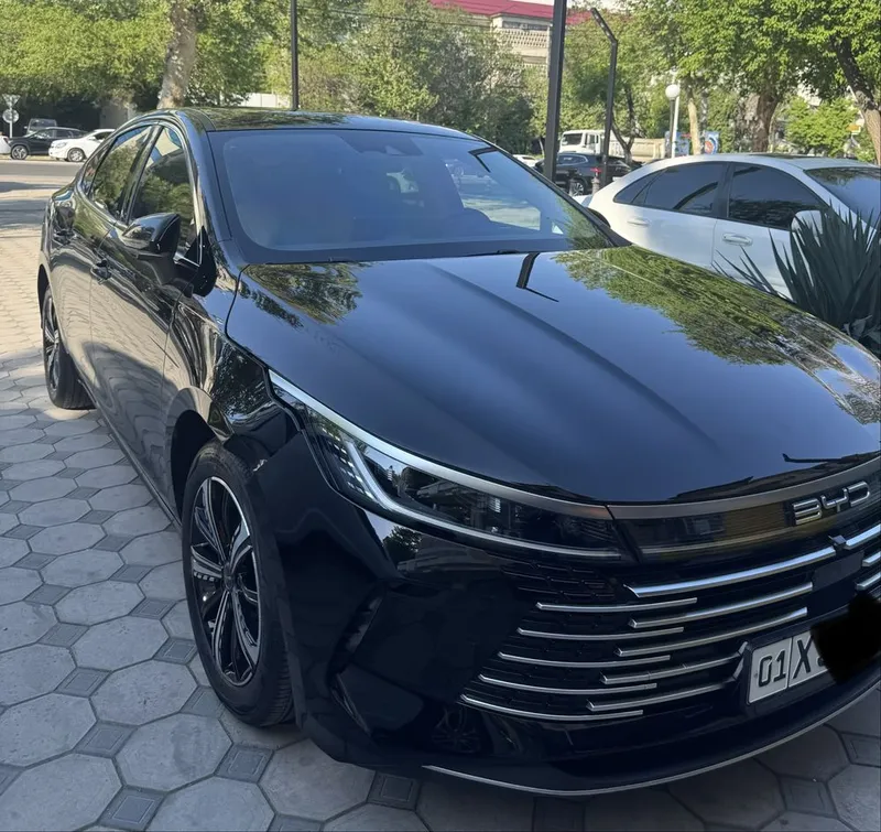 Byd Chazor full 2023/25 ARENDA — фото 1