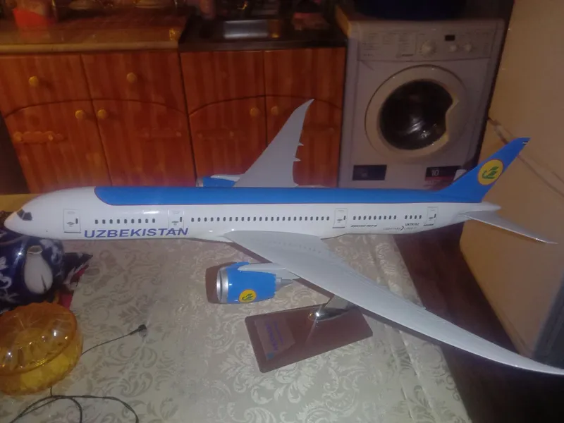 Uzbekistan Airways Boeing 787-8 Dreamliner 1
