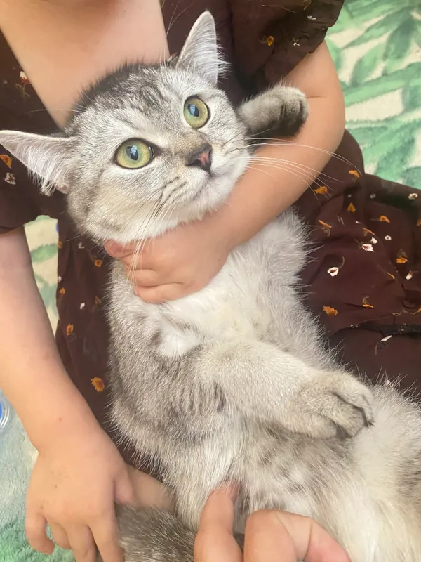 Продаётся 2
