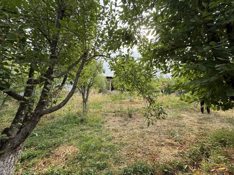 Dacha sotiladi 10 sutix 7 Dacha sotiladi 10 sutix 7