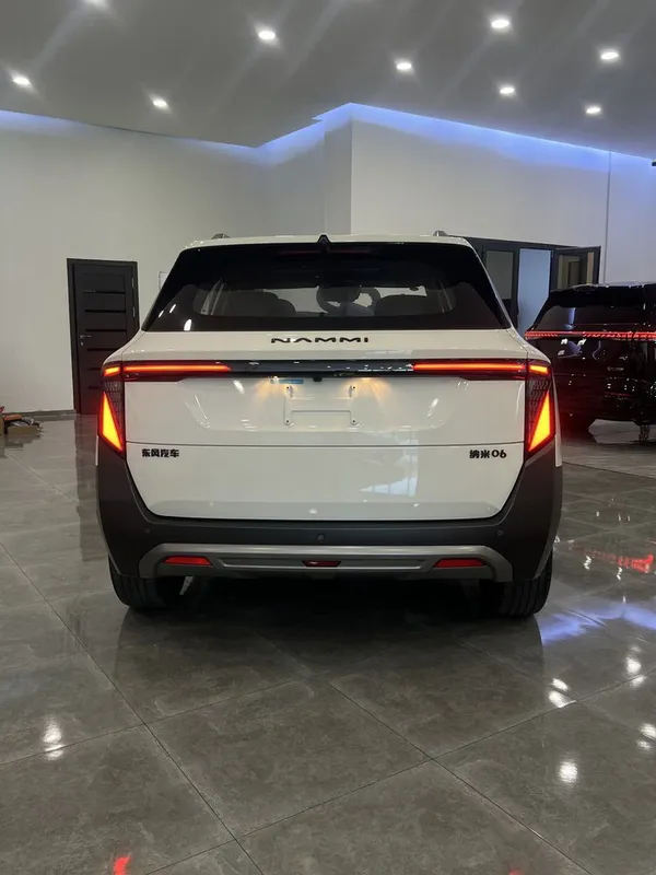 Dongfeng NAMMI 06 2026 4 Dongfeng NAMMI 06 2026 4