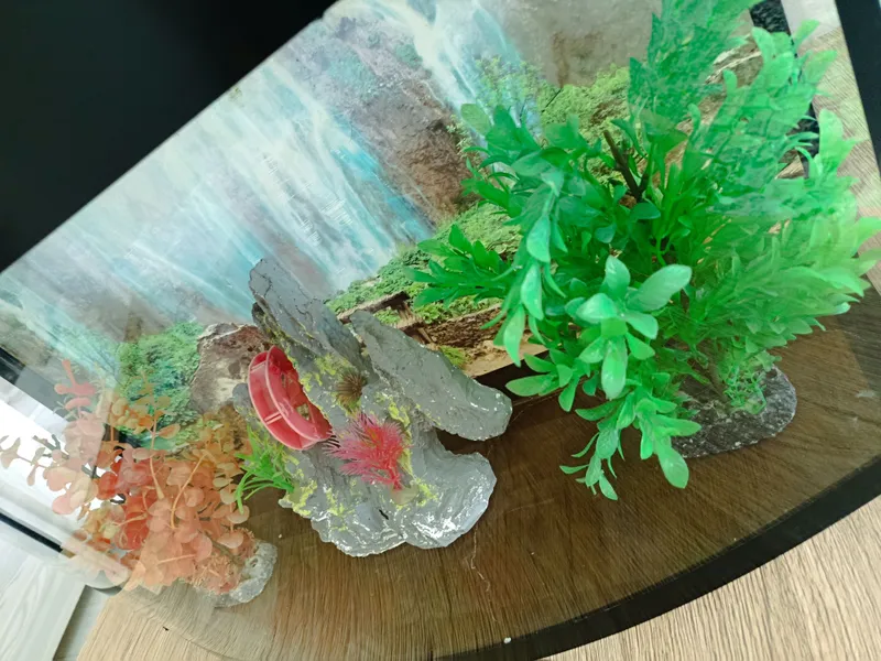 Akvarium — фото 3