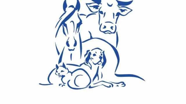 Veterinariya xizmati Veterinariya xizmati