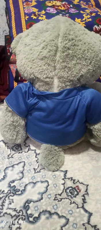 Продаётся Teddy, состояние отличное 2
