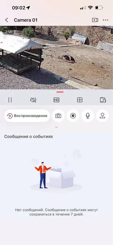 Kurkalar sotiladi kotta moladoylar ham bor