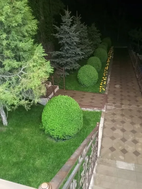 Lanshaf Archa kesish gazon ekish xizmati 5 Lanshaf Archa kesish gazon ekish xizmati 5