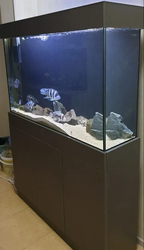 230 litr akvarium