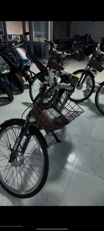 Elektro velik Veloskuter optom dona Електро велик Велоскутер — фото 1