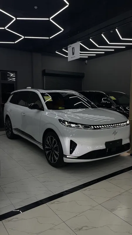 Dongfeng EP 008 gibrid 2 Dongfeng EP 008 gibrid 2