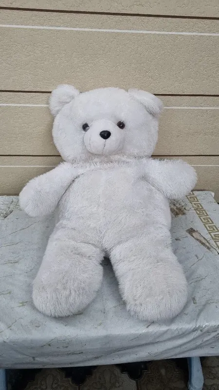 Mishka sotiladi xolati ideal 2