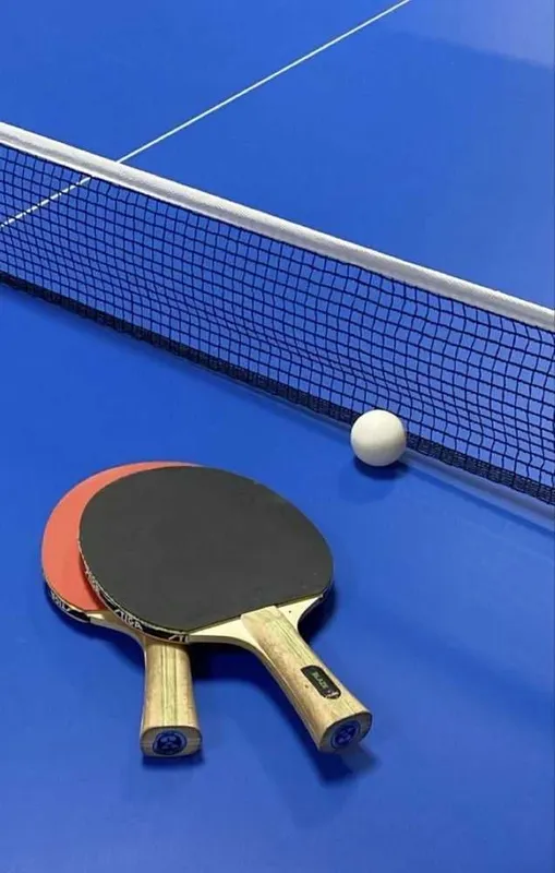 . Stol tennisi/ ping pong 1 — фото 4