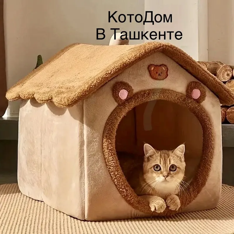Передержка кошек/ Котодом Передержка кошек/ Котодом