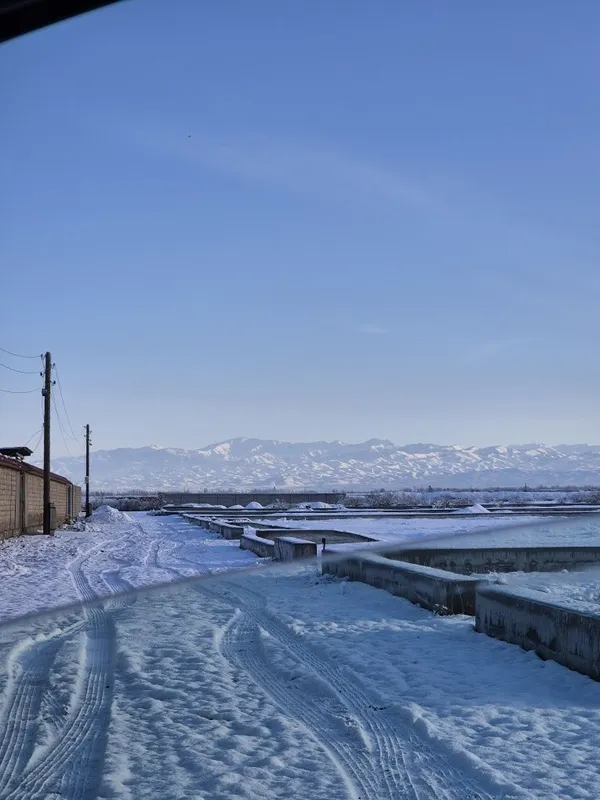 Piskent dachni zona sotiladi bolib tolashgayam sotiladi — фото 1