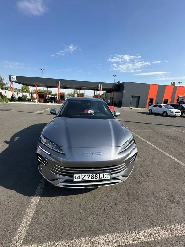 Byd Champion Hybrid 150 Full (Гибрид)