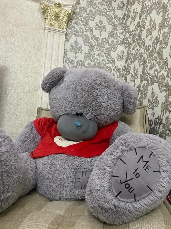 Teddy Teddy