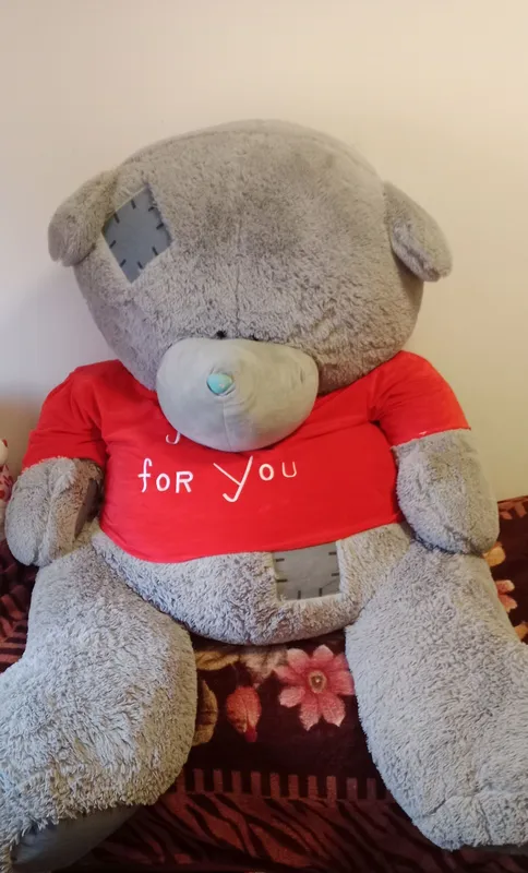 Teddy yumshoq oʻyinchoq