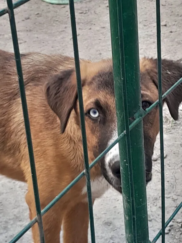 Бесплатно в ответственные руки 1 Бесплатно в ответственные руки 1