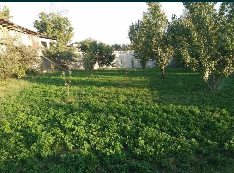 Участок на продажу — фото 1