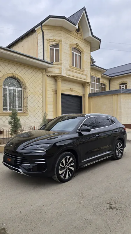 BYD CHampion DM-i