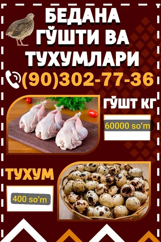 Bedana kataklari sotiladi va bedana sotiladi — фото 6
