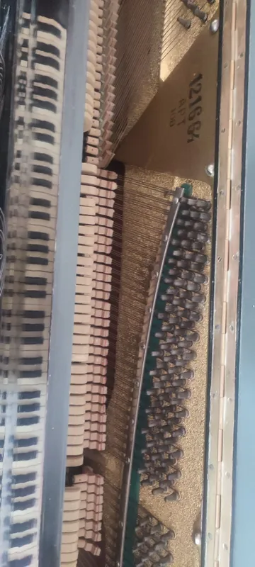 Belarus pianinosi 2 Belarus pianinosi 2