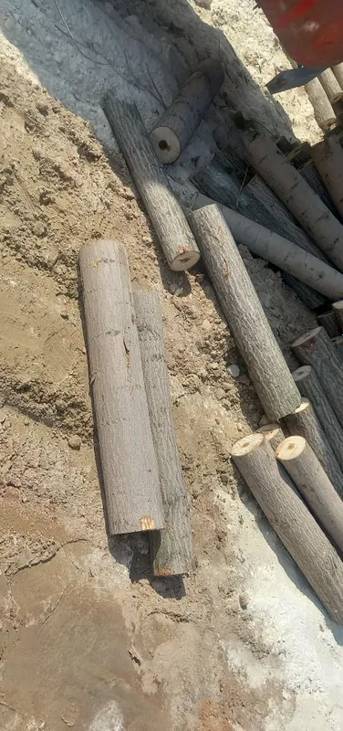 Terak yo‘g‘och maxsulotlari 2