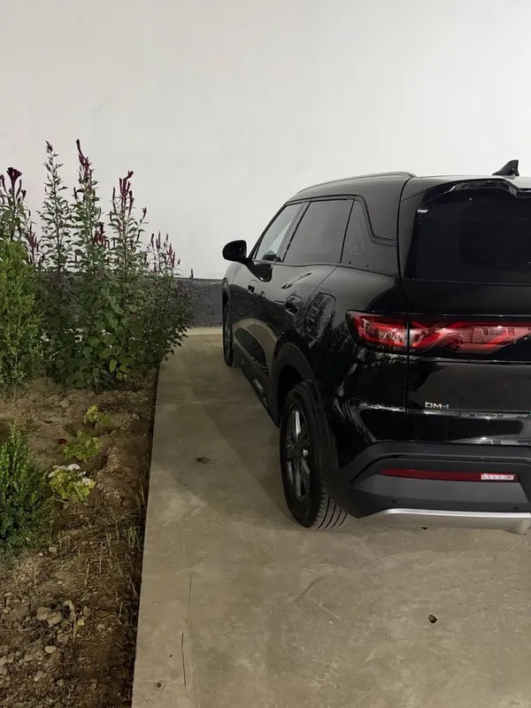 Byd yuan up 2026 4 Byd yuan up 2026 4