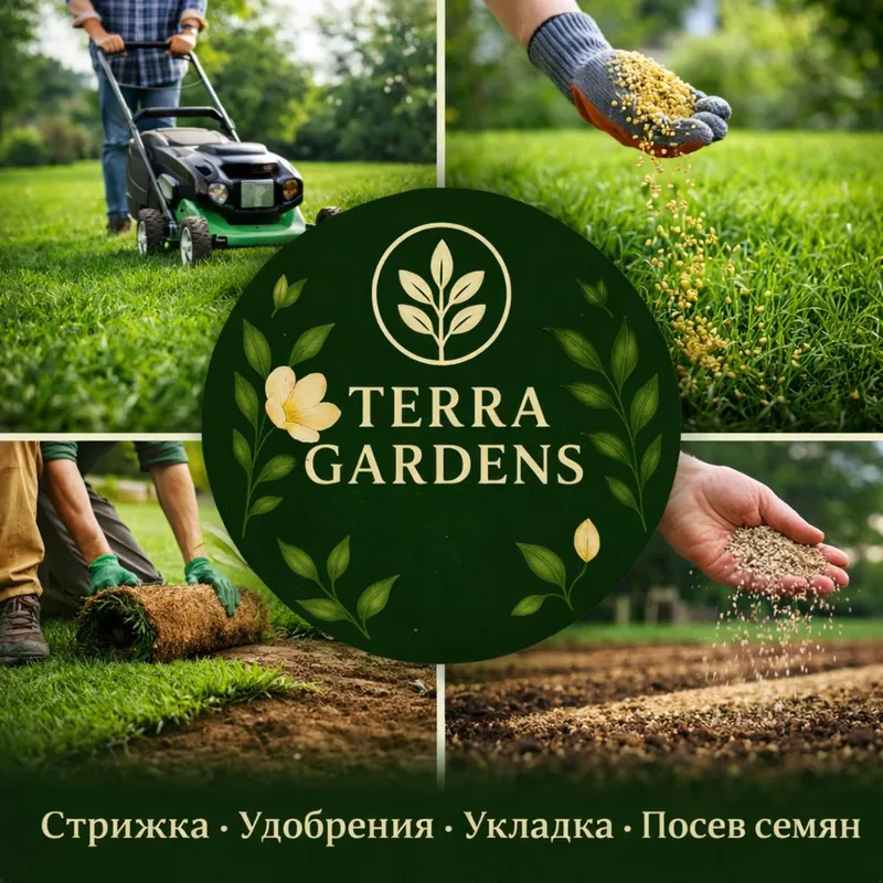 Газон уругр дания