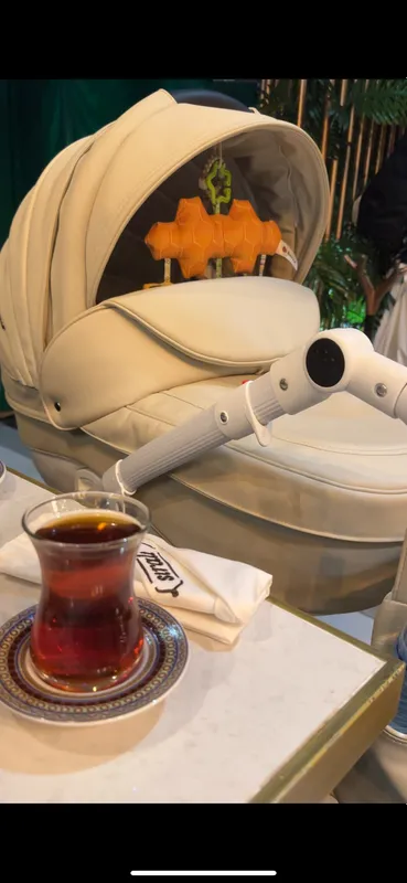Детская Коляска Adamex Barletto 3в1 — фото 4 Детская Коляска Adamex Barletto 3в1 — фото 4