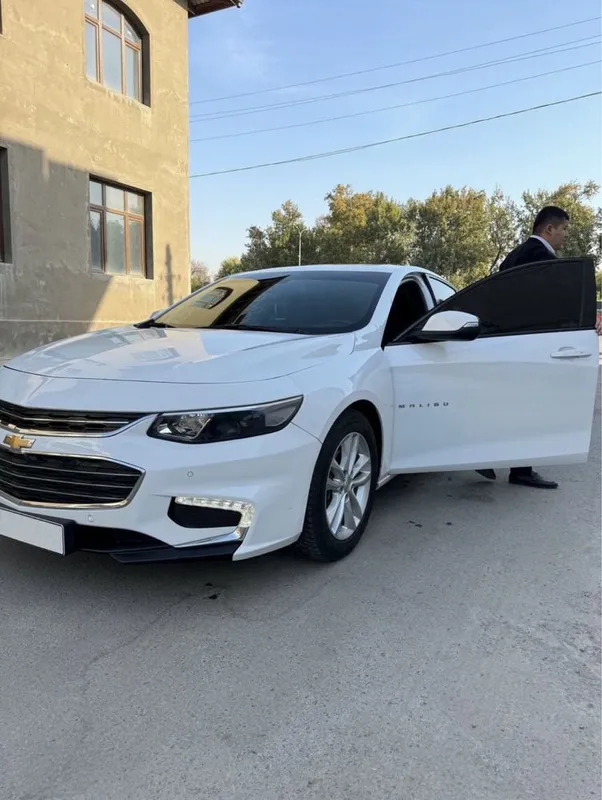 Arenda malibu 2 2018