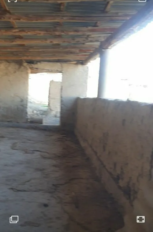 Бостанлык аренда 4
