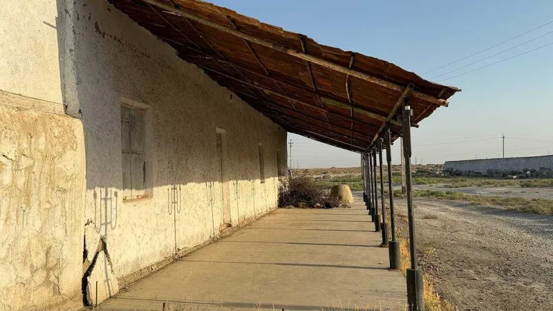 Товукхона, молхона, молбозор ва балик куллари сотилади — фото 3