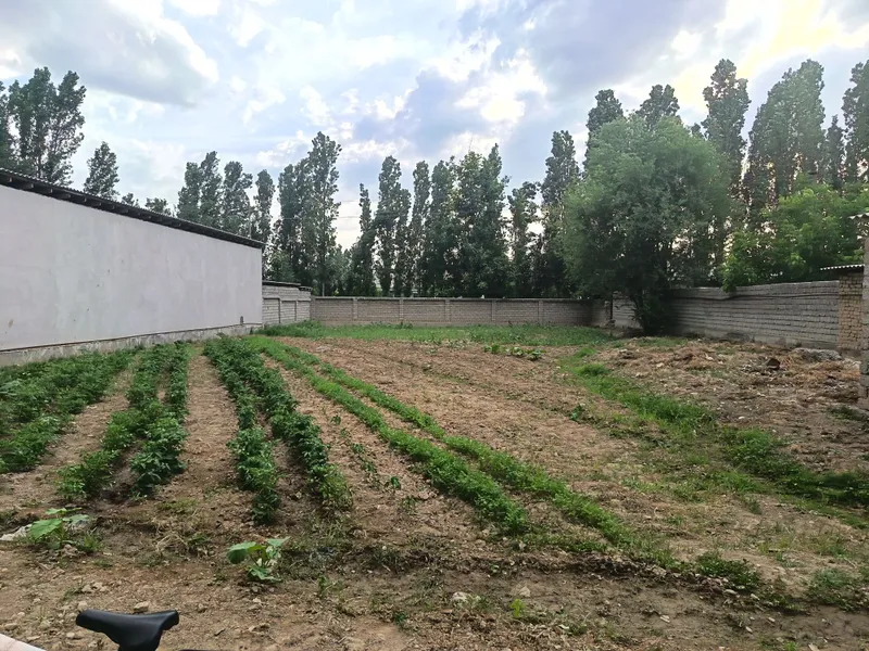 8 сотих ер участкаси уй килиб хужжат килинган 3 8 сотих ер участкаси уй килиб хужжат килинган 3