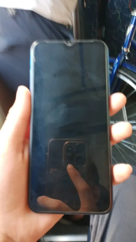vivo 2 vivo 2
