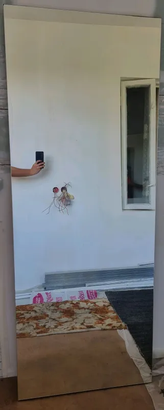 Зеркала на дверных створках шкафа