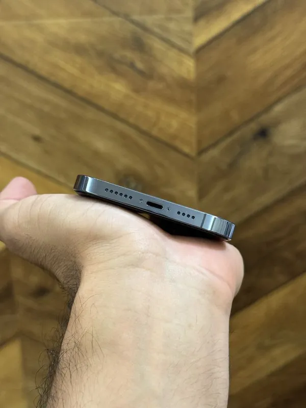 13 Pro Max 256 Gb 3
