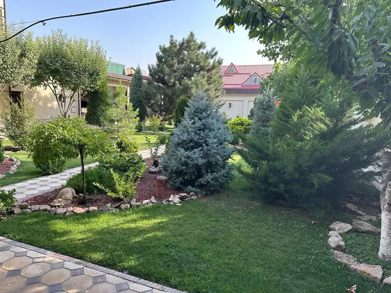 Продается участок под строительство - 5 соток в махалле Амира Тимура — фото 2