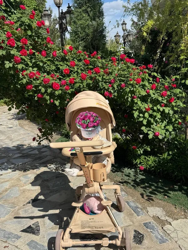 Dron kolyaska. 4oygina faqat yozda ishlatilgan.