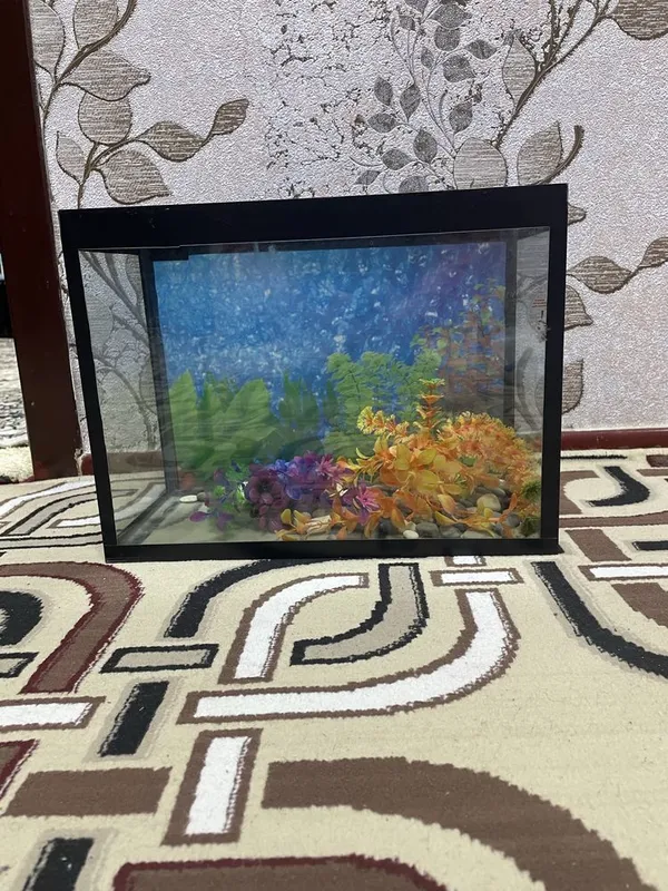 Akvarium sotiladi
